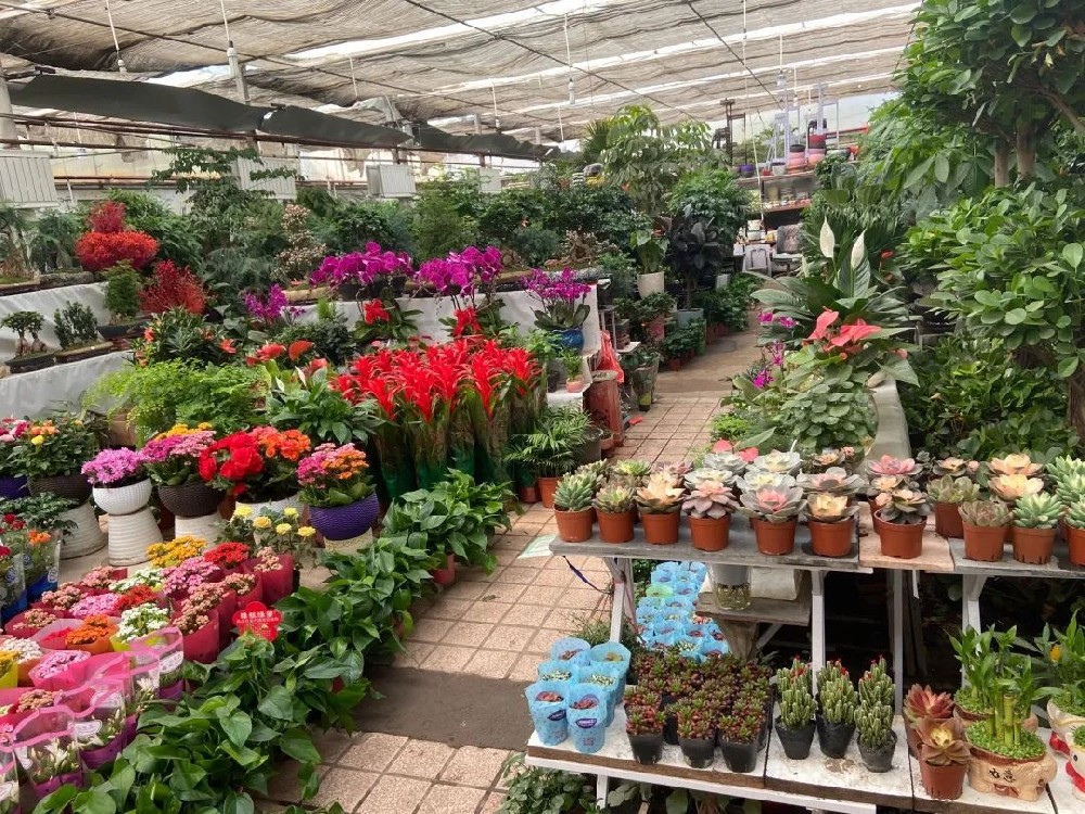 花卉市場